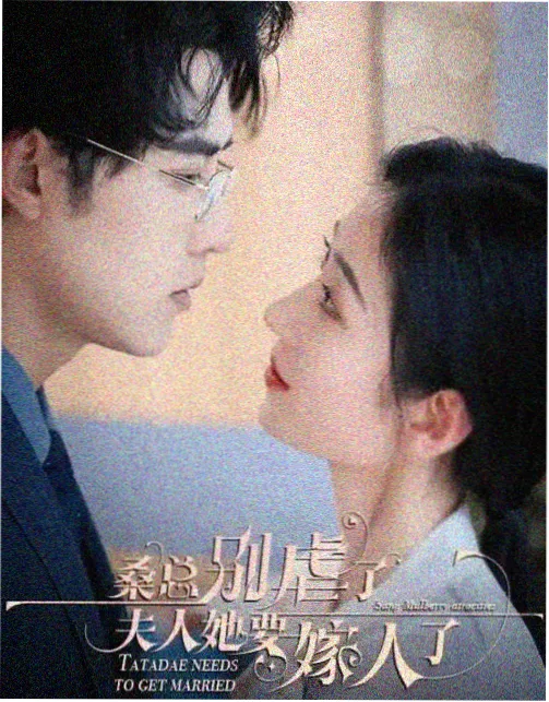 狂飙 窝窝影视