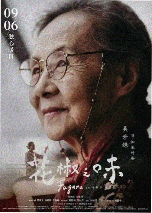 间谍过家家 窝窝影视
